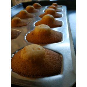 Madeleines au miel - 1 sachet de 5 pièces