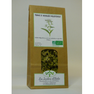 Tisane simple bio d'achillée millefeuille