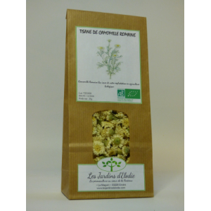 Tisane simple bio de camomille romaine
