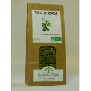 Tisane simple bio de ronce