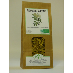 Tisane simple bio de sureau