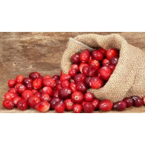 Canneberge bio 30 gélules