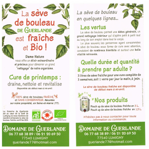 Pouch up de sève de bouleau fraîche et bio