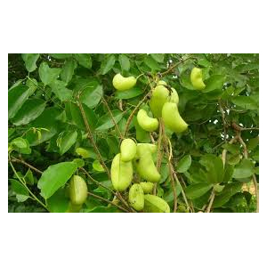 Mélange detente - bonne nuit 90 gélules