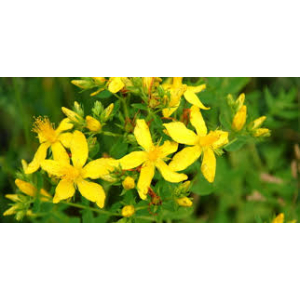 Mélange bonne humeur