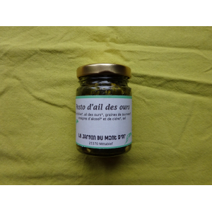 Pesto d'ail des ours