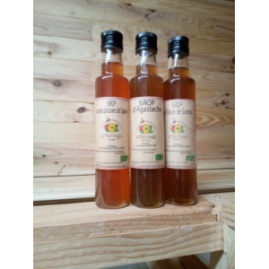 Sirop de jeunes pousses de sapins