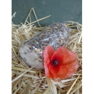 Buche fromage frais saveur indienne