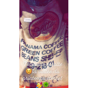 Café de l'éternel printemps panaméen