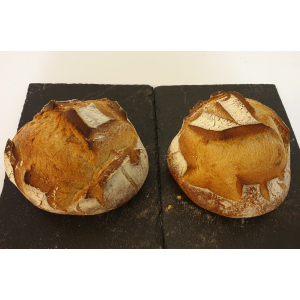 Petite miche paysanne