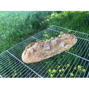 Pain complet fr-bio-09