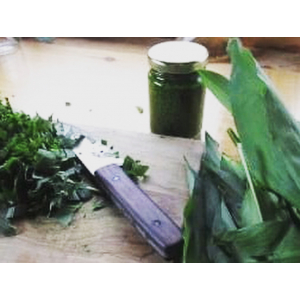 Pesto à l'ail des ours