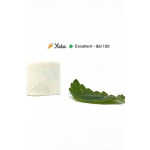 Dentifrice solide menthe 18 g