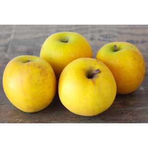 Pomme bio, variété delice d'or