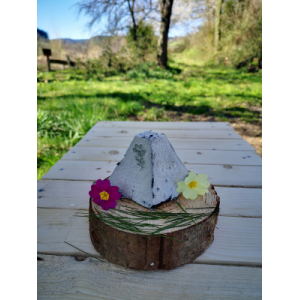 La pyramide cendrée pur chèvre bio