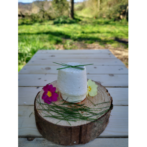 Lot de 2 fromages pur chèvre frais bio