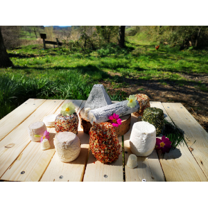 Le plateau découverte pur chèvre bio