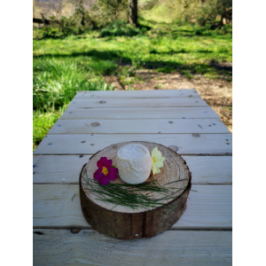 Lot de 2 fromages pur chèvre sec bio