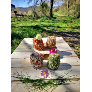 Lot de 4 fromages chèvre frais aromatisés bio
