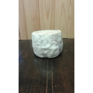 Tomme lactique