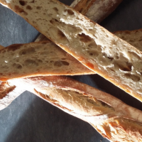 Baguette de campagne fr-bio-09