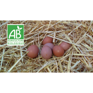 6 oeufs bio extra frais