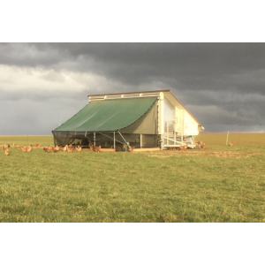 12 œufs bio multicalibre