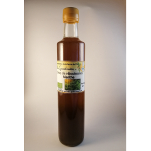 Sirop de menthe en 50 cl