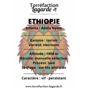 Ethiopie sidama adola nyala