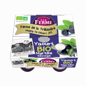 Yaourt brassé myrtille fermier et bio 4x125g