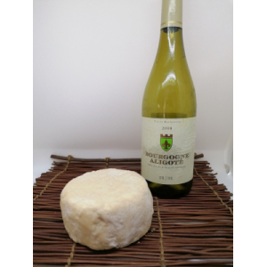 Petit chêne aligoté