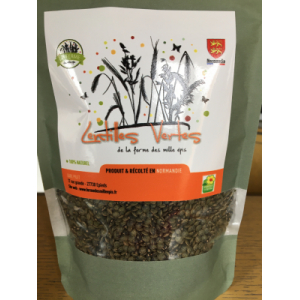 Lentilles vertes