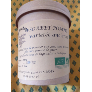 Sorbet pleins fruits pomme