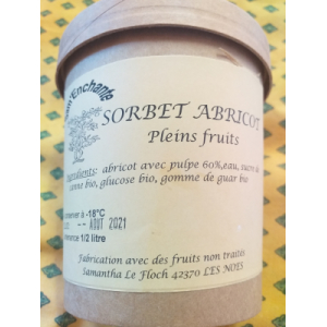 Sorbet pleins fruits abricots
