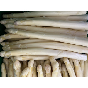 Asperges moyennes (16/22 mm)