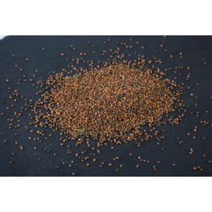 Graines de roquette vrac 50g