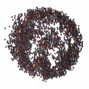 Graines de brocoli rapini vrac 125g