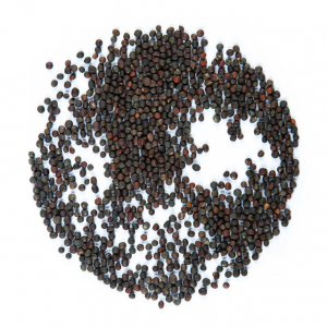 Graines de chou rouge vrac 125g