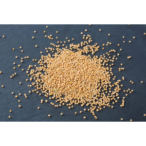 Graines de moutarde blanche vrac 125g