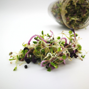 Mélange de graines 'vitamines' vrac 50g