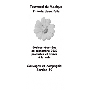 Graines de tournesol du mexique
