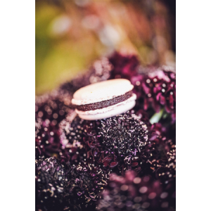 Macaron cassis du val de loire x4