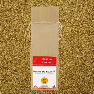 Melilot la vanille locale - grain
