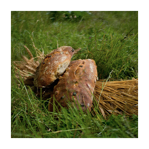 Pain raisins noisettes 600 g