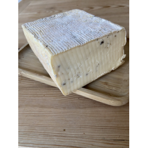 Favola à la truffe d’été