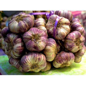 Ail violet extra 230/260gr