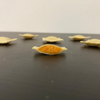 Raviolis carottes grillées/cumin/parmesan