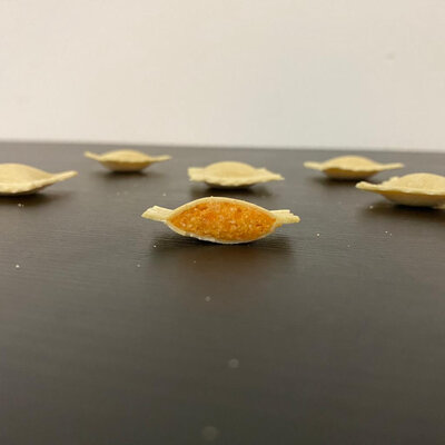 Raviolis carottes grillées/cumin/parmesan