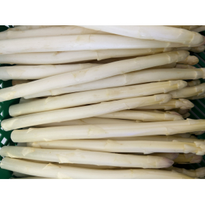 Asperges fines