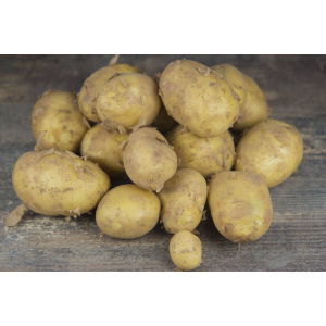 Pomme de terre grenaille bio